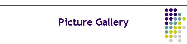 Picture Gallery